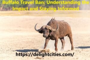 Buffalo Travel Ban