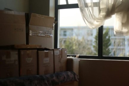 Adapting to Unexpected Challenges on Moving Day