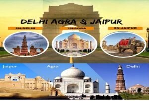 delhi agra jaipur tour package