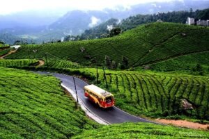 Tamilnadu Tour Packages