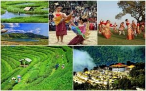 Assam Tour Package