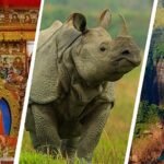 Assam Tour Package