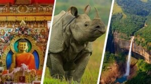 Assam Tour Package