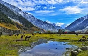 Kashmir Tour Package with Flight