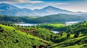 Wayanad Tour Package