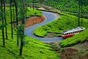 Munnar Tour Packages