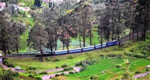 Ooty Tour Package