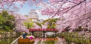 7 Days Japan Tour Package